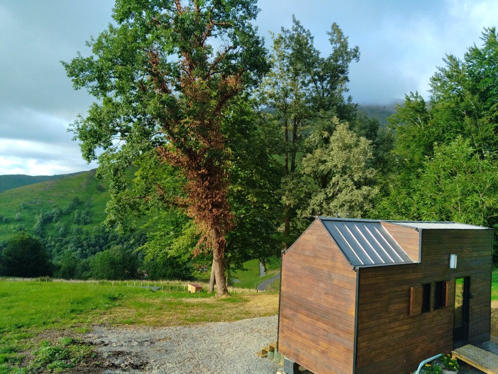 tiny-house